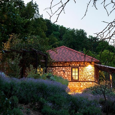 Ktima Bellou Agios Dimitrios  ภายนอก รูปภาพ