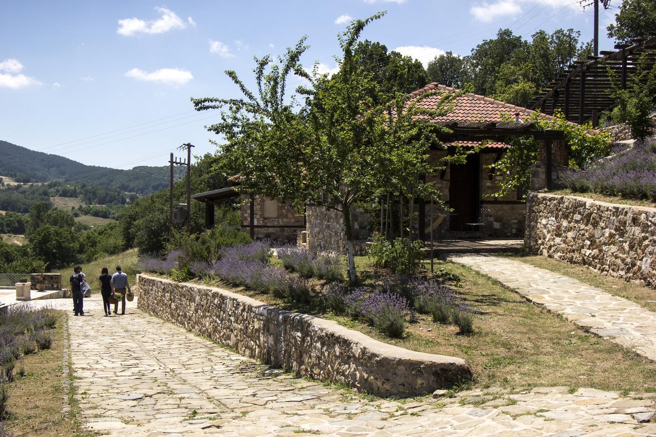 Ktima Bellou Agios Dimitrios  ภายนอก รูปภาพ